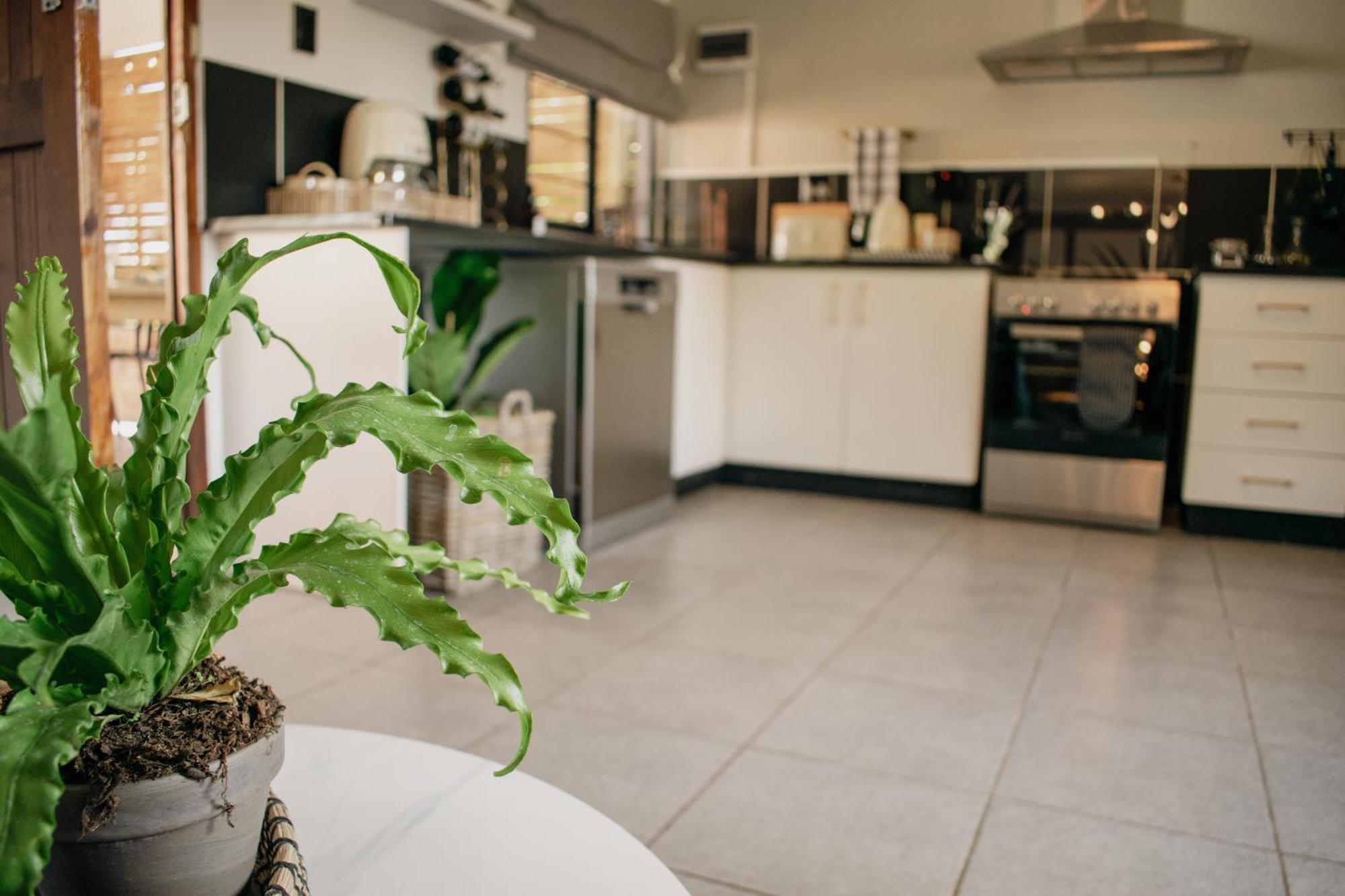 No 1 Dicks Street Apartment Хоуик Экстерьер фото